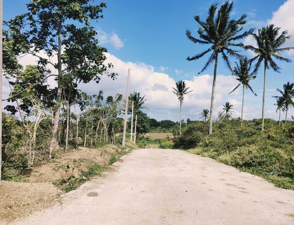 Transfer of Title Included Farm Lot for sale in Alfonso near Tagaytay