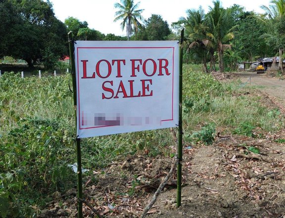 125 sqm Residential Farm Lot For Sale in San Juan Batangas