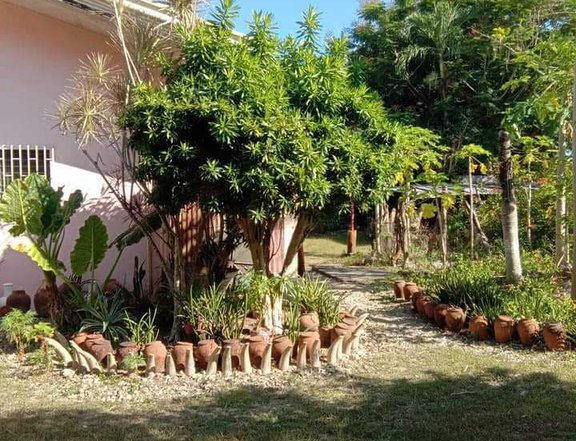 1,899 sqm Residential Lot For Sale in Cot-cot, Liloan, Cebu