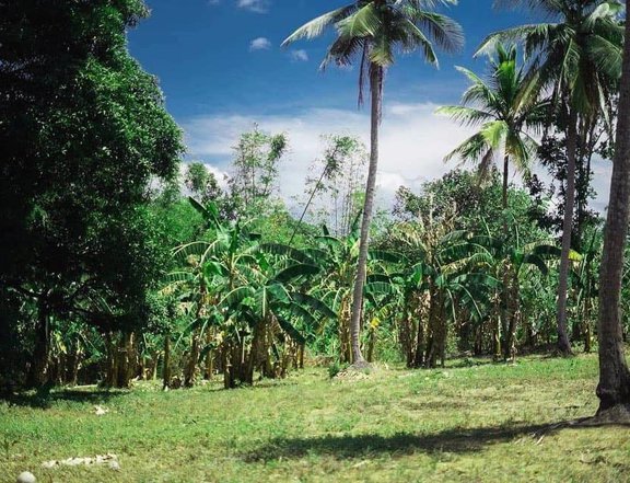 PinakaMurang Lot for Sale sa Banaba Lejos Indang Cavite