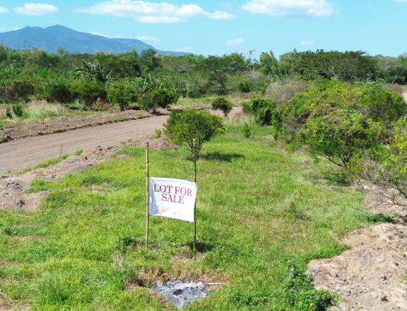 100 sqm Residential Farm Lot For Sale in Padre Garcia Batangas