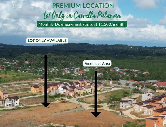 80 sqm Residential Lot For Sale in Puerto Princesa Palawan