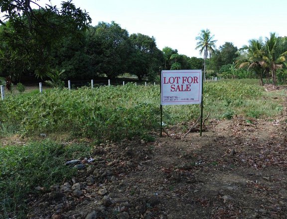 125 sqm Residential Farm For Sale in San Juan Batangas