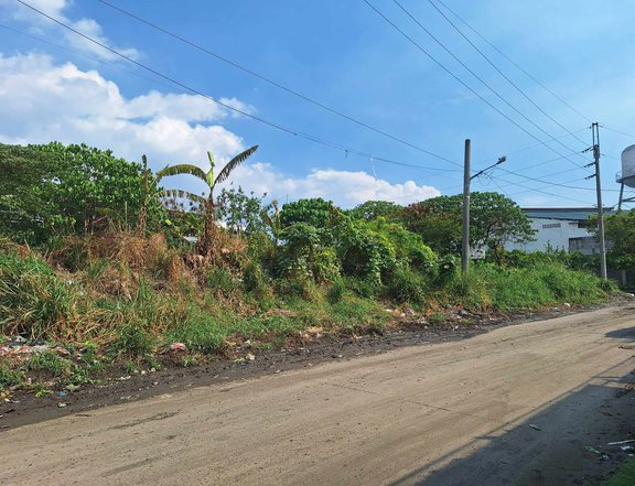 Industrial Lot for warehouse in Plastic City Valenzuela for sale