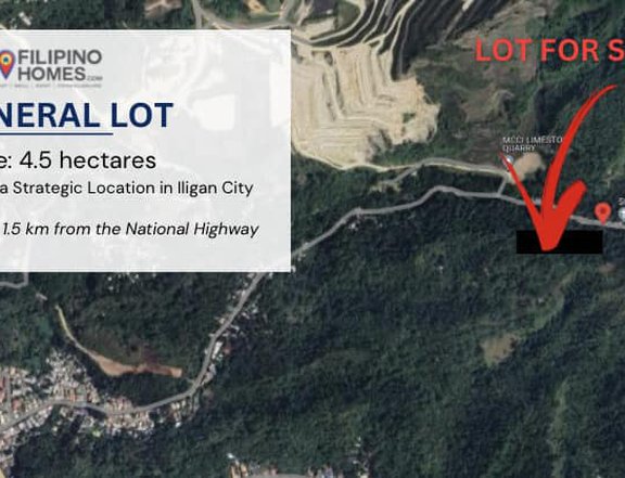 4.57 hectares Lot For Sale in Iligan Lanao del Norte