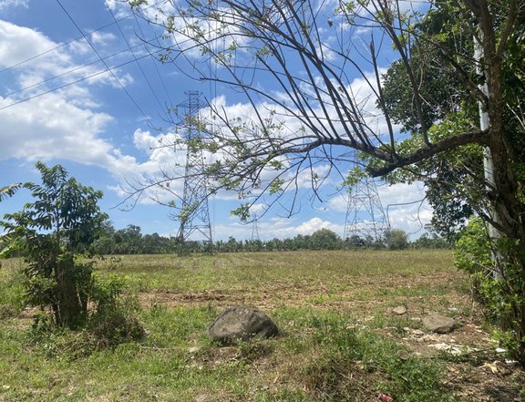 3,000 sqm Lot Along Nat'l Highway For Sale in Manolo Fortich Bukidnon