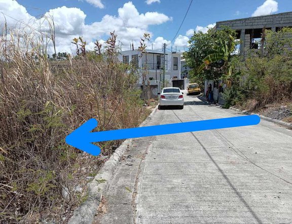 260sqM lot in El Monte Grande Subd  Liloan, Cebu, price Negotiable