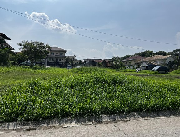 Lot for sale in Town and Country Subdivision Phase 1 Dasmarinas Cavite