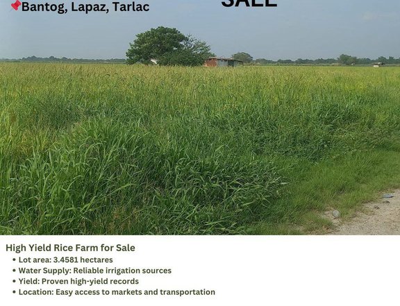 3.46 hectares Agricultural Farm Lot for sale in La Paz Tarlac