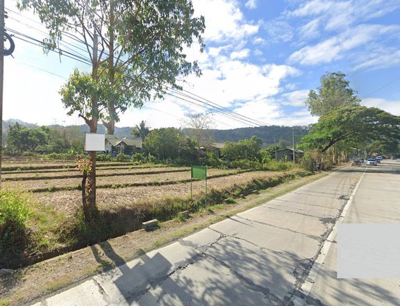 Commercial Lot along Pugo-Rosario Hwy.,La Union for sale