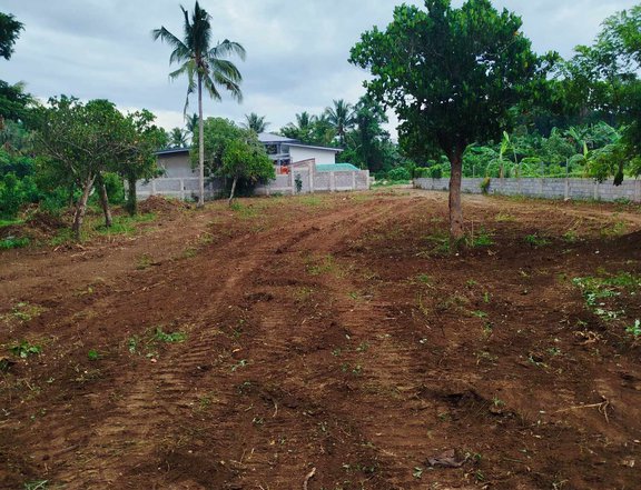 220 sqm Residential Farm For Sale in Indang Cavite