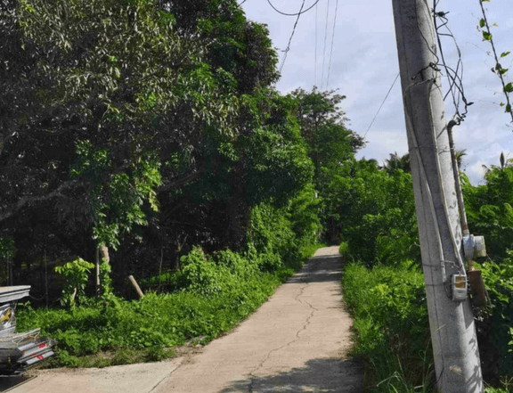 Agricultural Lot For Sale in Batangas