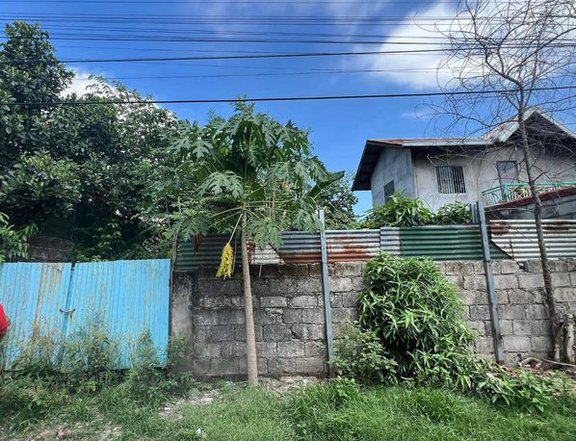 FOR SALE RESIDENTIAL LOT IN MEXICO PAMPANGA NEAR MARQUEE MALL