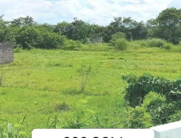 RESIDENTIAL LOT FOR SALE IN VICTORIA, TARLAC