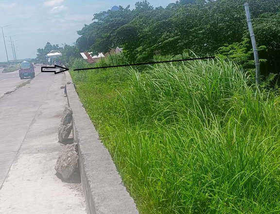 Commercial Lot along CCLEX only 6,500 per sqM in Cordova, Cebu