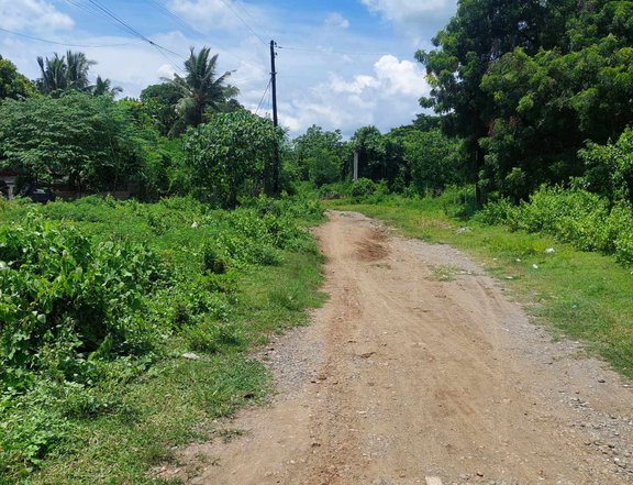 Residential Lot for Sale in Greenbreeze Village 6 Cavite City