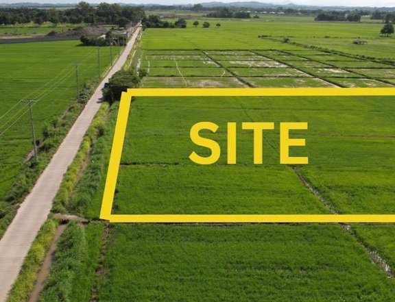 Subdivided Farmlots for Sale in San Francisco, San Miguel, Tarlac