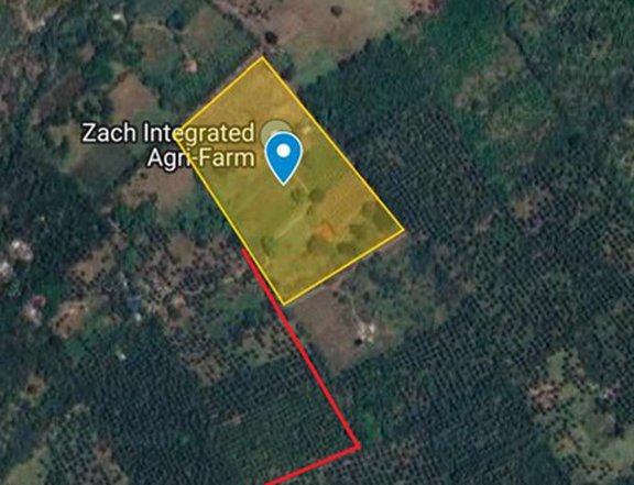 4.93 hectares Farm Lot for Sale in Tiaong Quezon