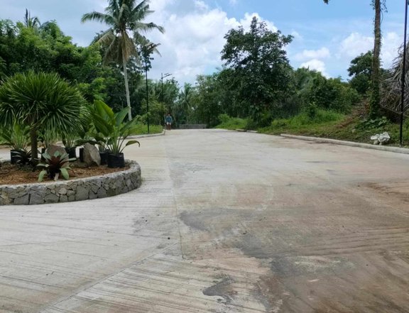 Farm lot for sale with fruit bearing trees 550 sqm Cavite