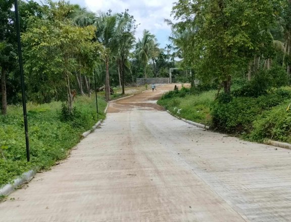 Affordable Farm lot for sale in Alfonso Cavite