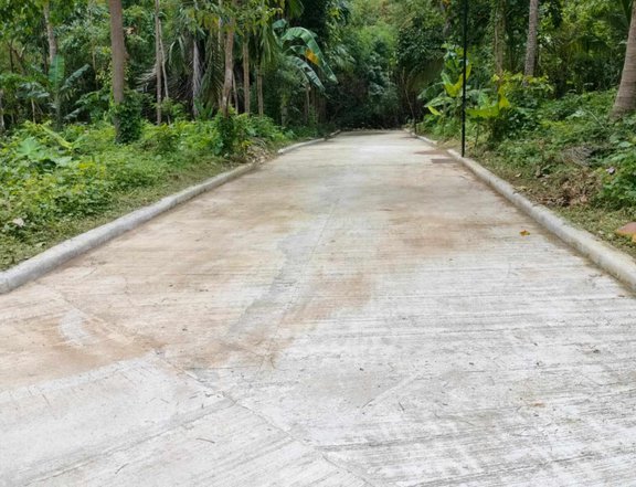 Lot for sale in Brgy Kaytitinga  located in Alfonso Cavite 2 lots only