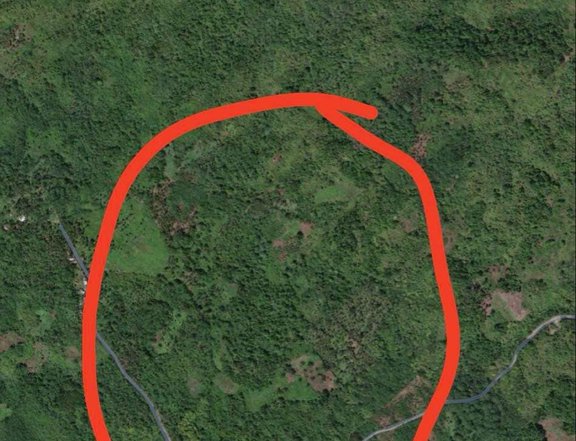 14.9 Hectares Agricultural Farm Lot for Sale in Pocto, Hinatuan Surigao del Sur