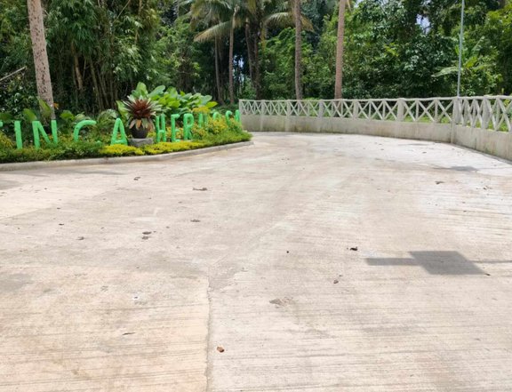 Affordable  farm lot fpr retirement home near Tagaytay