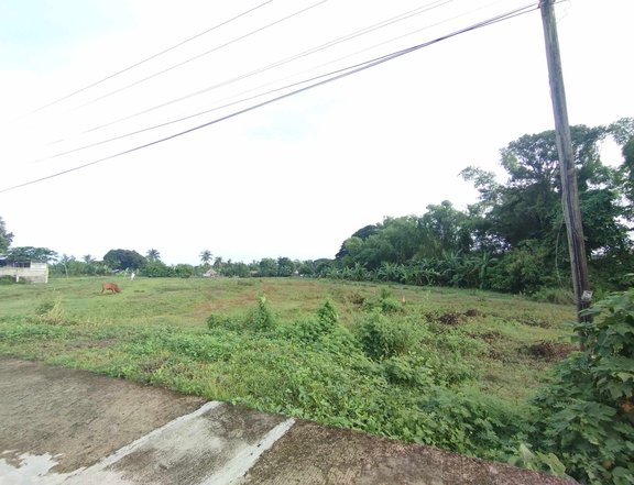 Residential Lot For Sale along National Road in Patnongon Antique