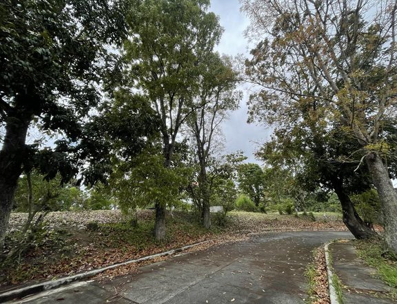 FOR SALE: VACANT RESIDENTIAL LOT in Buenavista Hills, Tagaytay