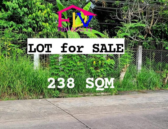 238 sqm Residential Lot For Sale in Villa Grande Naga Camarines Sur