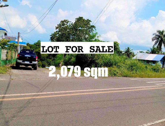 2,079 sqm Residential Lot For Sale in Pacol Naga Camarines Sur