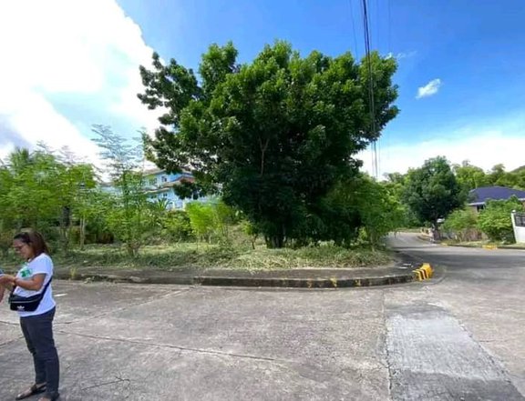 Overlooking Cebu Royal Estate Lot for sale in Consolacion Cebu