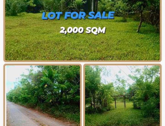 2,000 sqm Residential Lot For Sale in Pili Camarines Sur