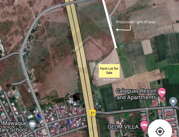 FARM LOT FOR SALE IN MAWAQUE, MABALACAT, PAMPANGA