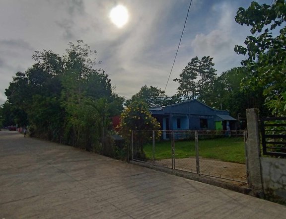 Bungalow Single Detached House For Sale with 500sqm Lot in Alaminos Pangasinan