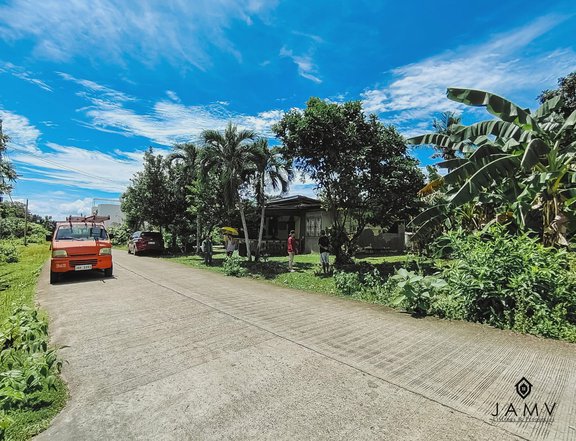 600 sqm Residential Lot For Sale in Dauis Bohol