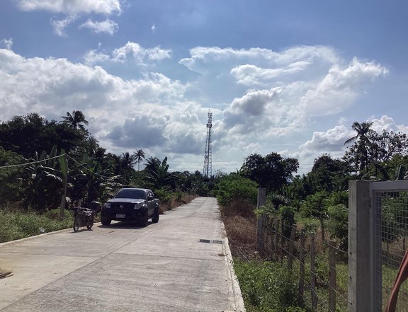 200sqm Installment Farm Lot for sale in Amadeo near Tagaytay