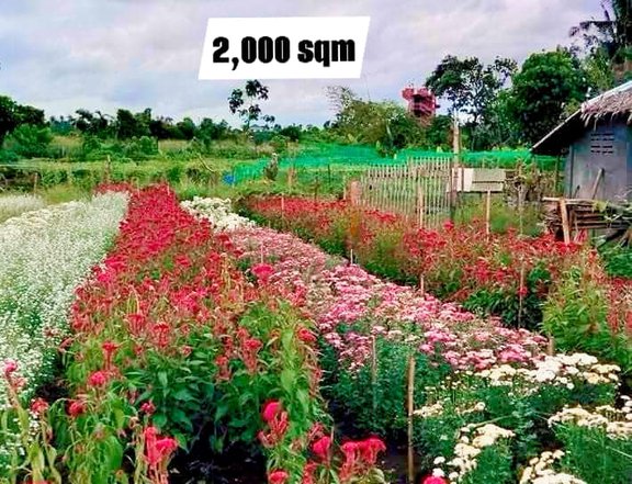 2,000 sqm Lot For Sale in Carolina Naga Camarines Sur