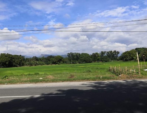 Commercial lot along, National Highway Bacnotan, La Union