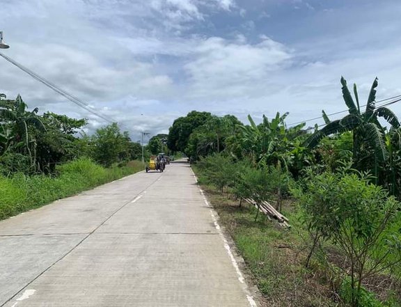 200sqm Pre-selling Lot in Prestige Eco Park Sunrise Oton