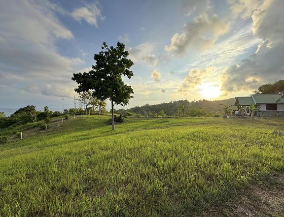 Residential Lot in Bohol Overlooking the Sea