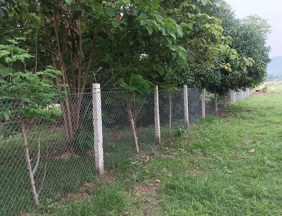 Residential Lot, Along the road at Bacnotan, La Union