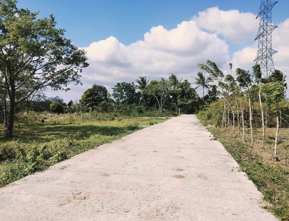 INVESTMENT FARM LOT FOR SALE IN ALFONSO NEAR TAGAYTAY