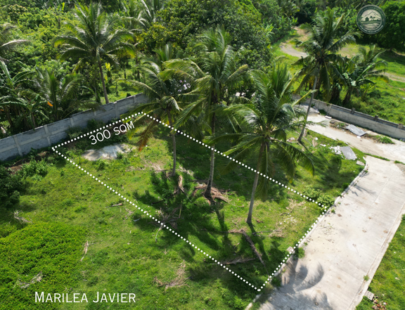 300 Sqm Residential Farm Lot near Highway of Amadeo Cavite