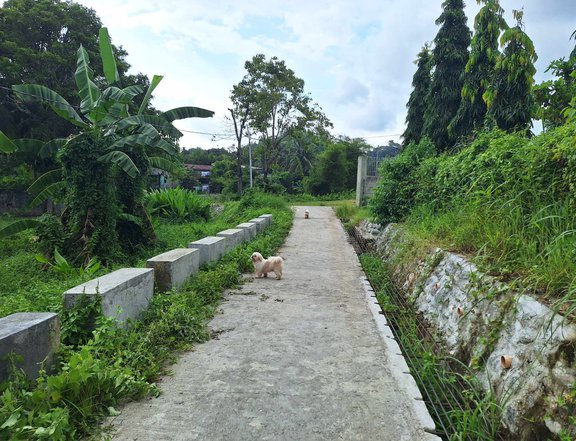 250 sqm Residential Lot For Sale in Bugasong Antique