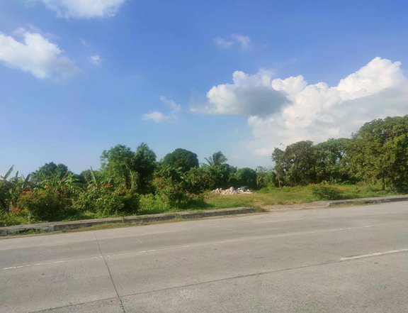 Residential Lot For Sale Along East West Amadeo Near Tagaytay.