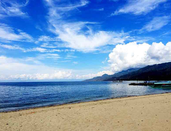 Landco Pacific Corporation - 386 sqm Beach Property For Sale in Playa Laiya, San Juan Batangas