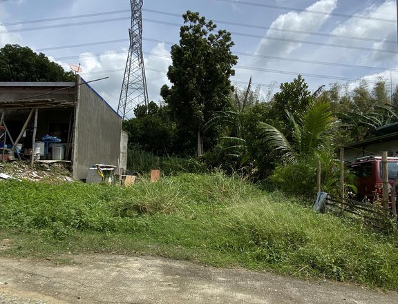 200 sqm Residential Lot For Sale in Batangas City