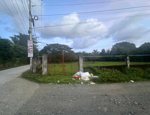 Residential Lot For Sale Near Airport in San Jose De Buenavista Antique