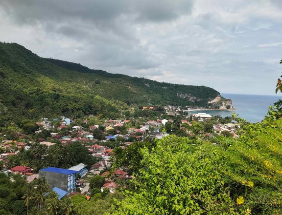 PANORAMIC LOT FOR SALE in Boljoon, Cebu! - Ideal for MOUNTAIN RESORT